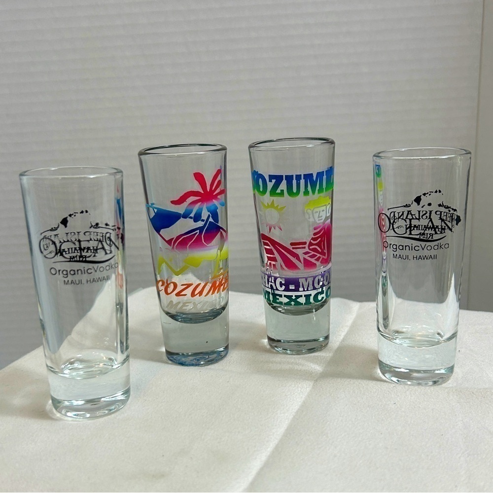 Tall Shot Glass Lot of 4 Cozumel & Maui 4”H
